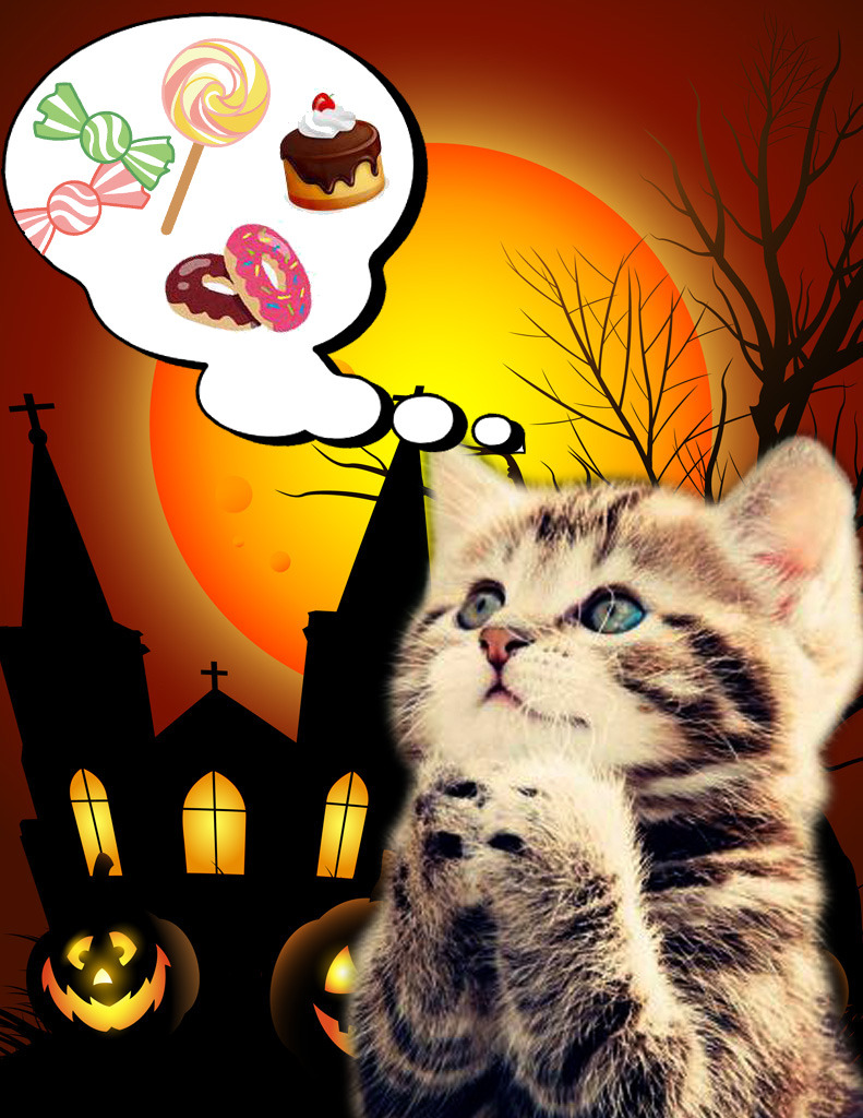 cat_halloween