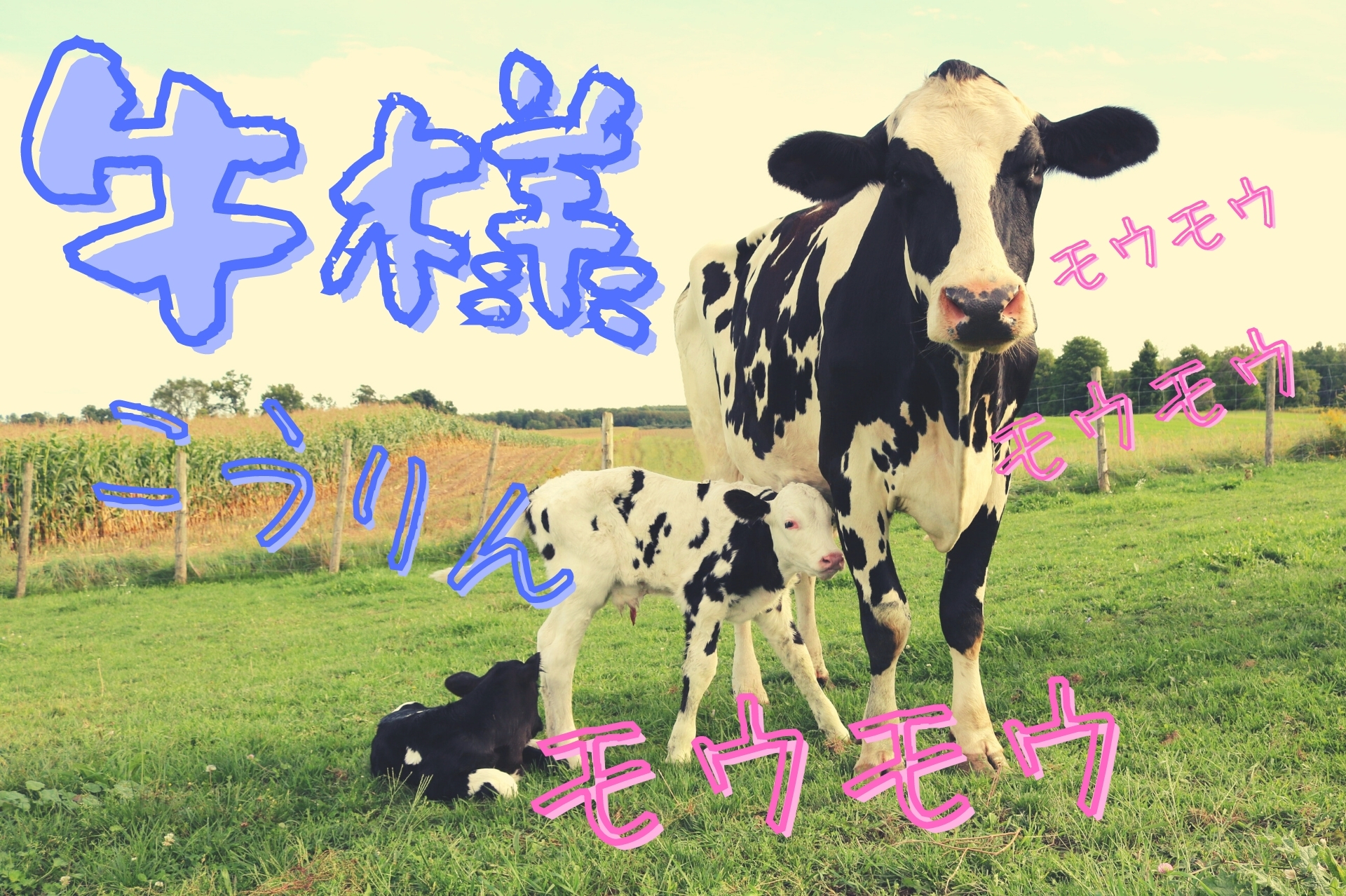 牛様 (1)