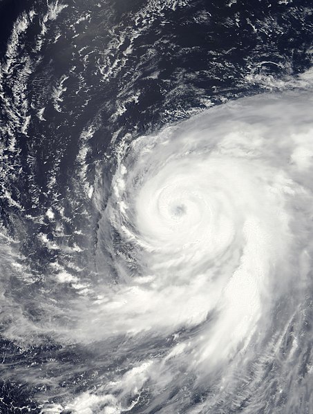 453px-Typhoon_Ma-on_Jul_16_2011_0145Z