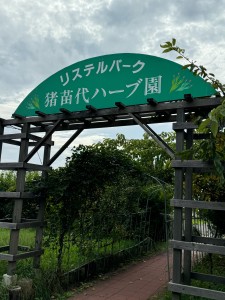 S__38559774.jpg ハーブ園