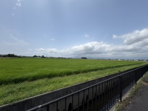 S__44965893_0