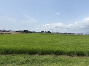 S__44965894_0