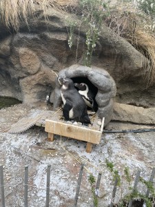 サンシャイン水族館の写真1
